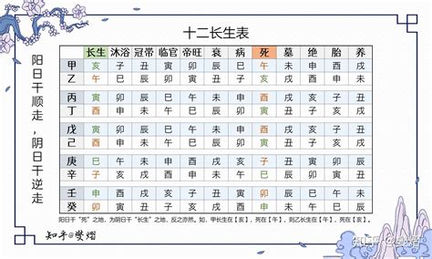 八字長生表|八字十二長生解讀——胎、養